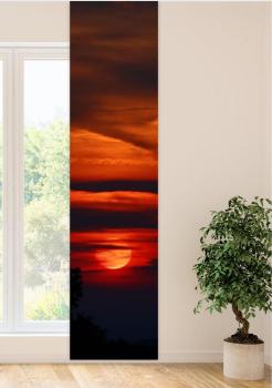 Flächenvorhang Mystic Evening , Schiebevorhang, Schiebegardine, modern, 60 cm brei